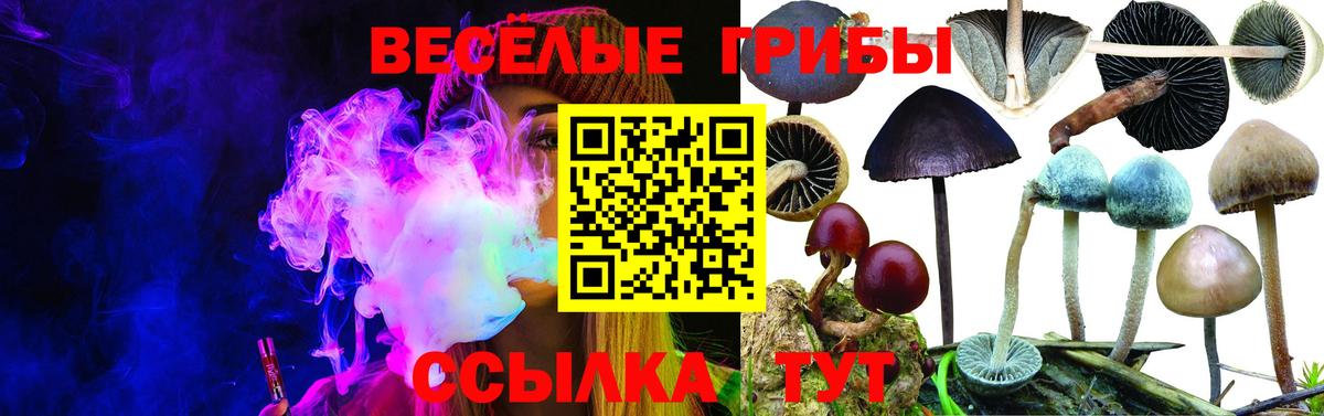 Псилоцибиновые грибы Psilocybe  Вход с VPN  Галлюциногенные грибы Psilocybe  Петрозаводск 